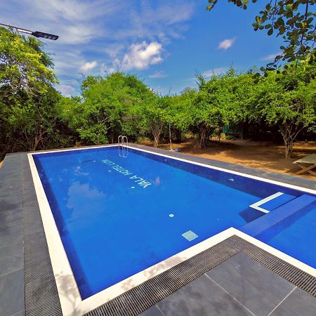 Yala Hotel Lion -Air Conditioned High Luxury Safari Camp Экстерьер фото