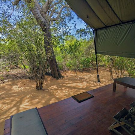 Yala Hotel Lion -Air Conditioned High Luxury Safari Camp Экстерьер фото