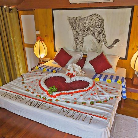 Yala Hotel Lion -Air Conditioned High Luxury Safari Camp Экстерьер фото