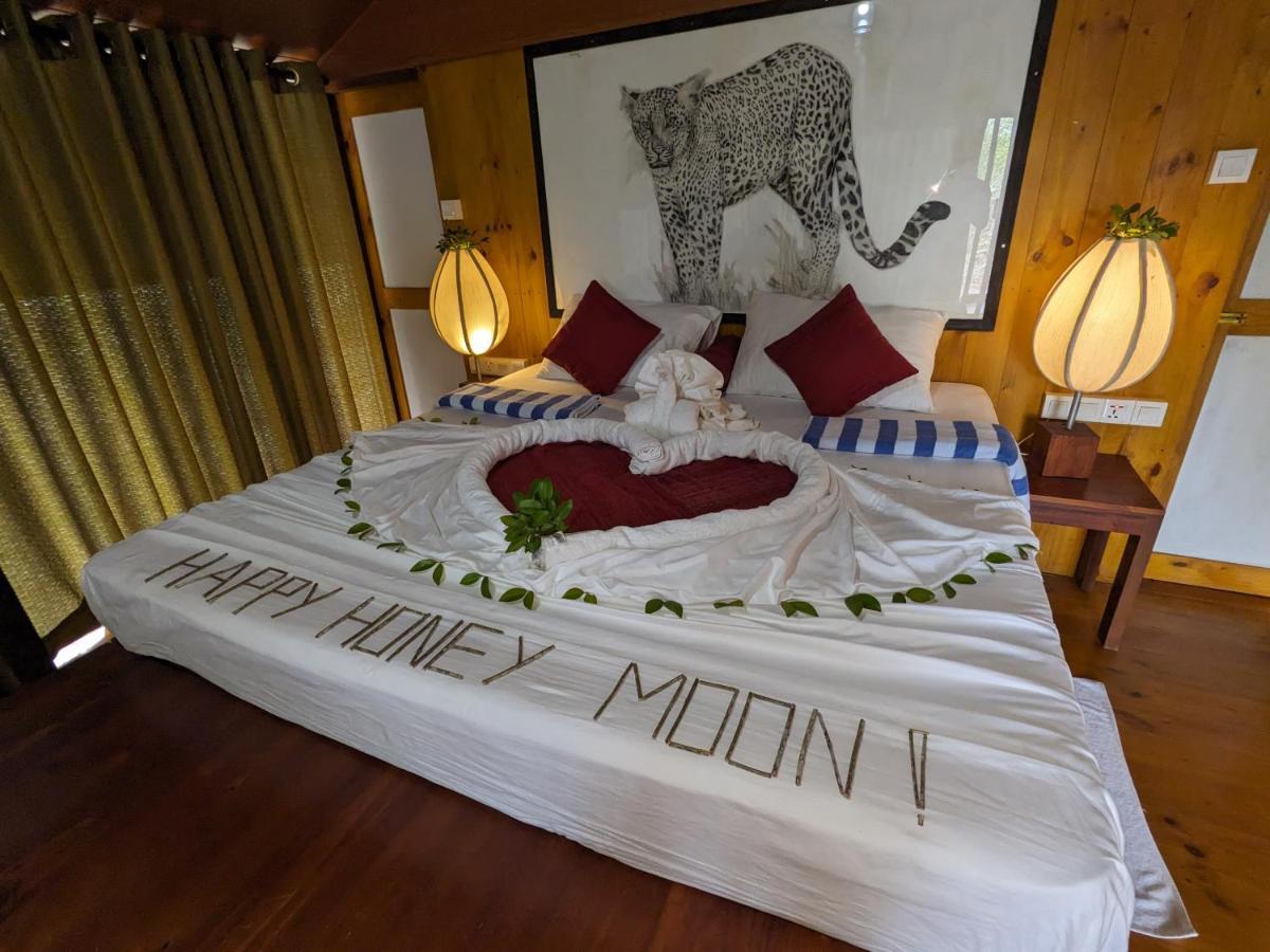 Yala Hotel Lion -Air Conditioned High Luxury Safari Camp Экстерьер фото