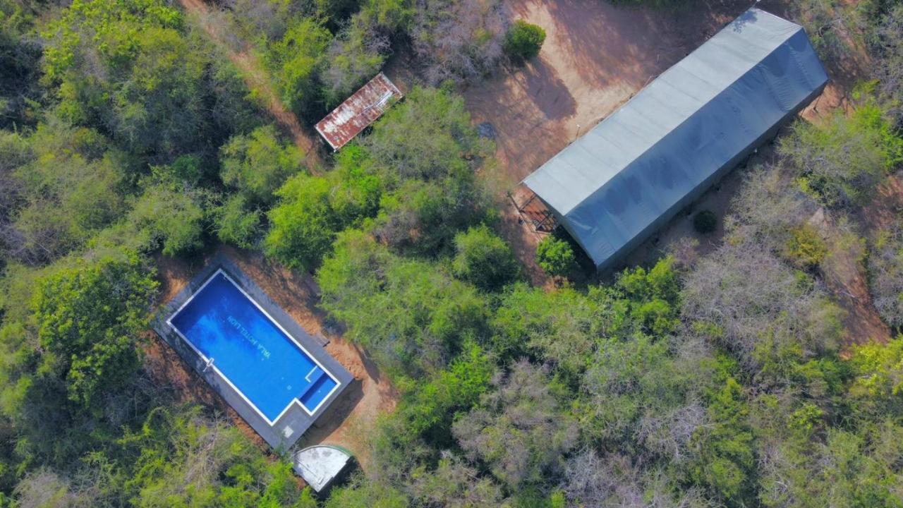 Yala Hotel Lion -Air Conditioned High Luxury Safari Camp Экстерьер фото