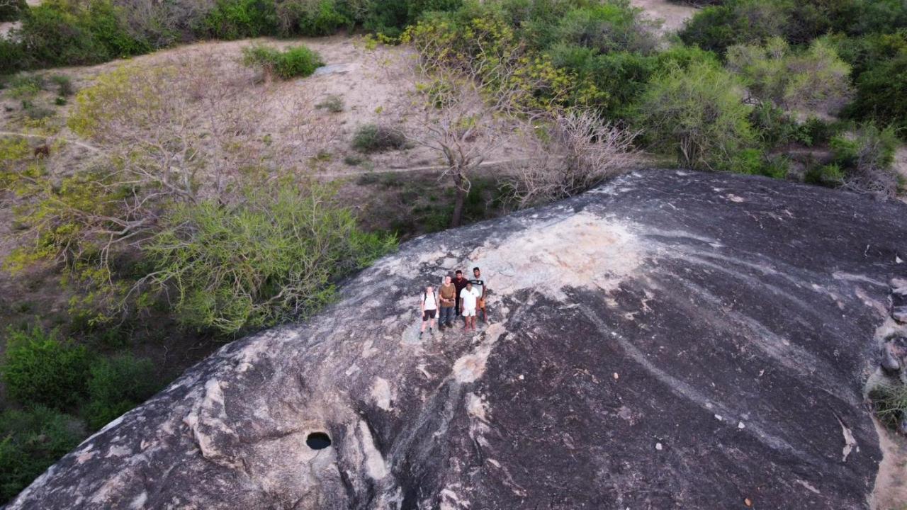 Yala Hotel Lion -Air Conditioned High Luxury Safari Camp Экстерьер фото