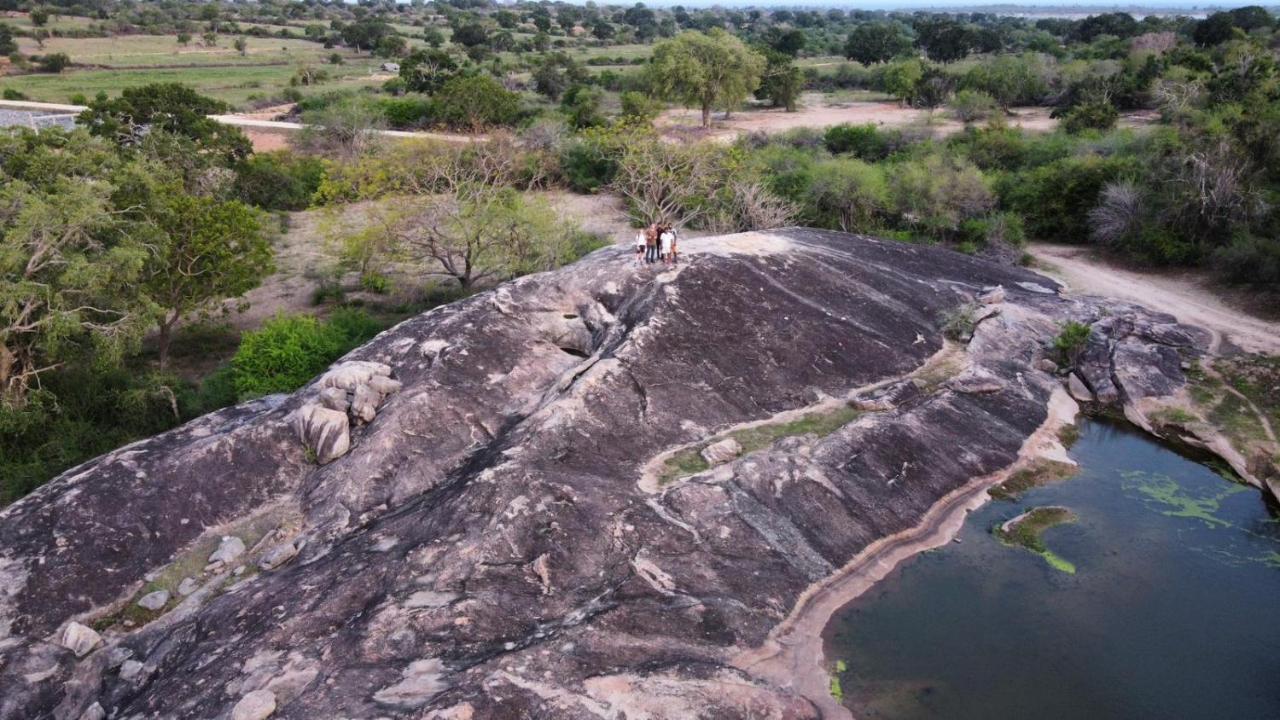 Yala Hotel Lion -Air Conditioned High Luxury Safari Camp Экстерьер фото