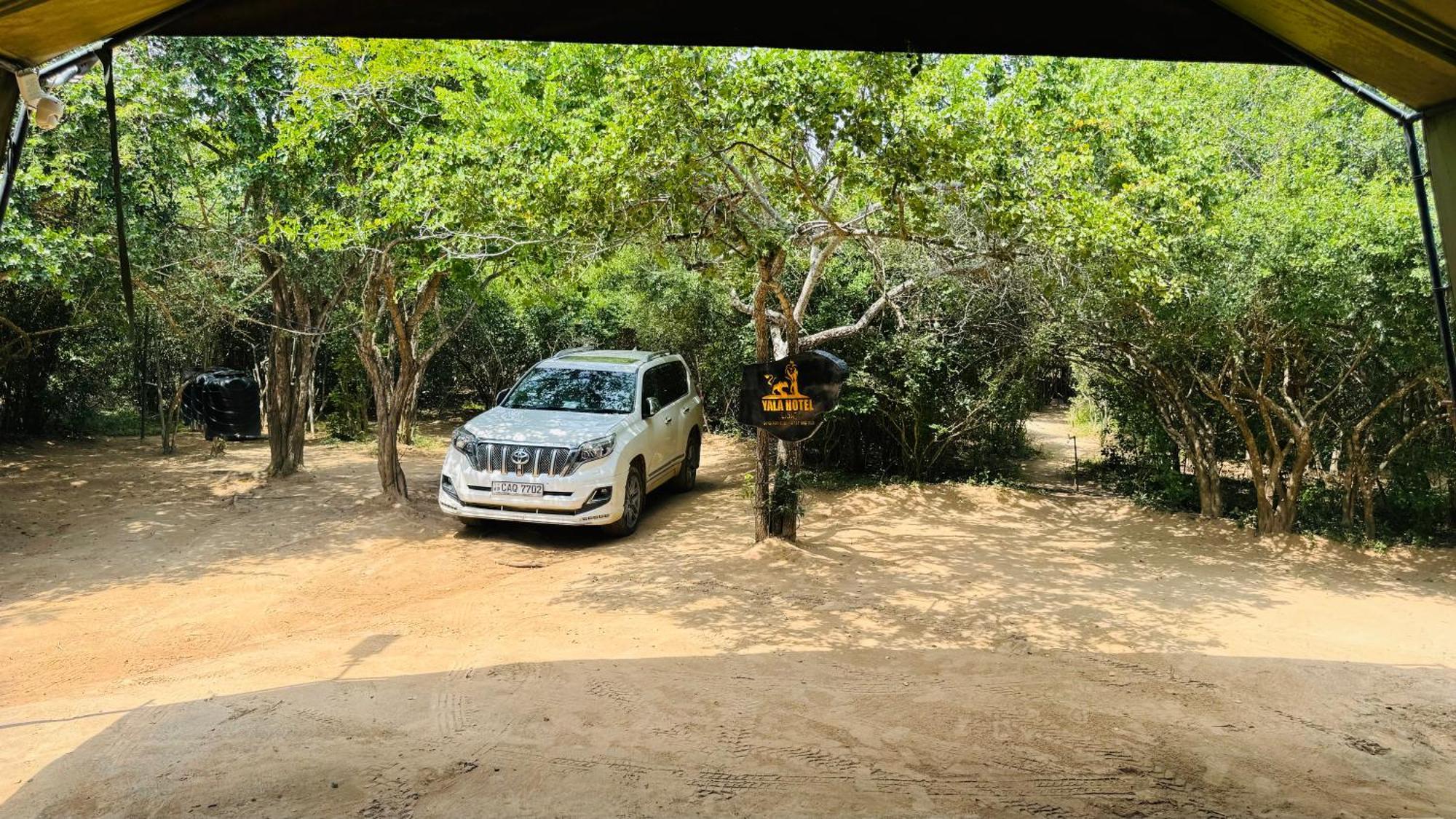 Yala Hotel Lion -Air Conditioned High Luxury Safari Camp Экстерьер фото