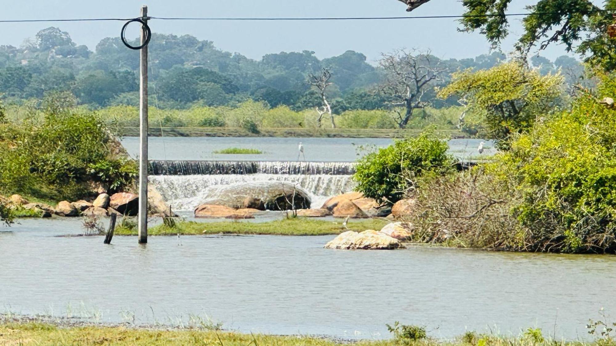 Yala Hotel Lion -Air Conditioned High Luxury Safari Camp Экстерьер фото