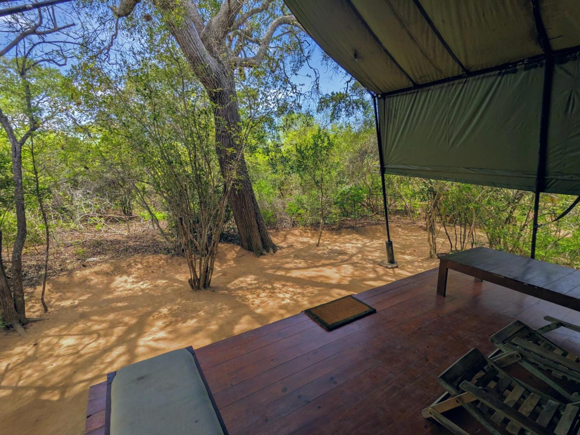 Yala Hotel Lion -Air Conditioned High Luxury Safari Camp Экстерьер фото