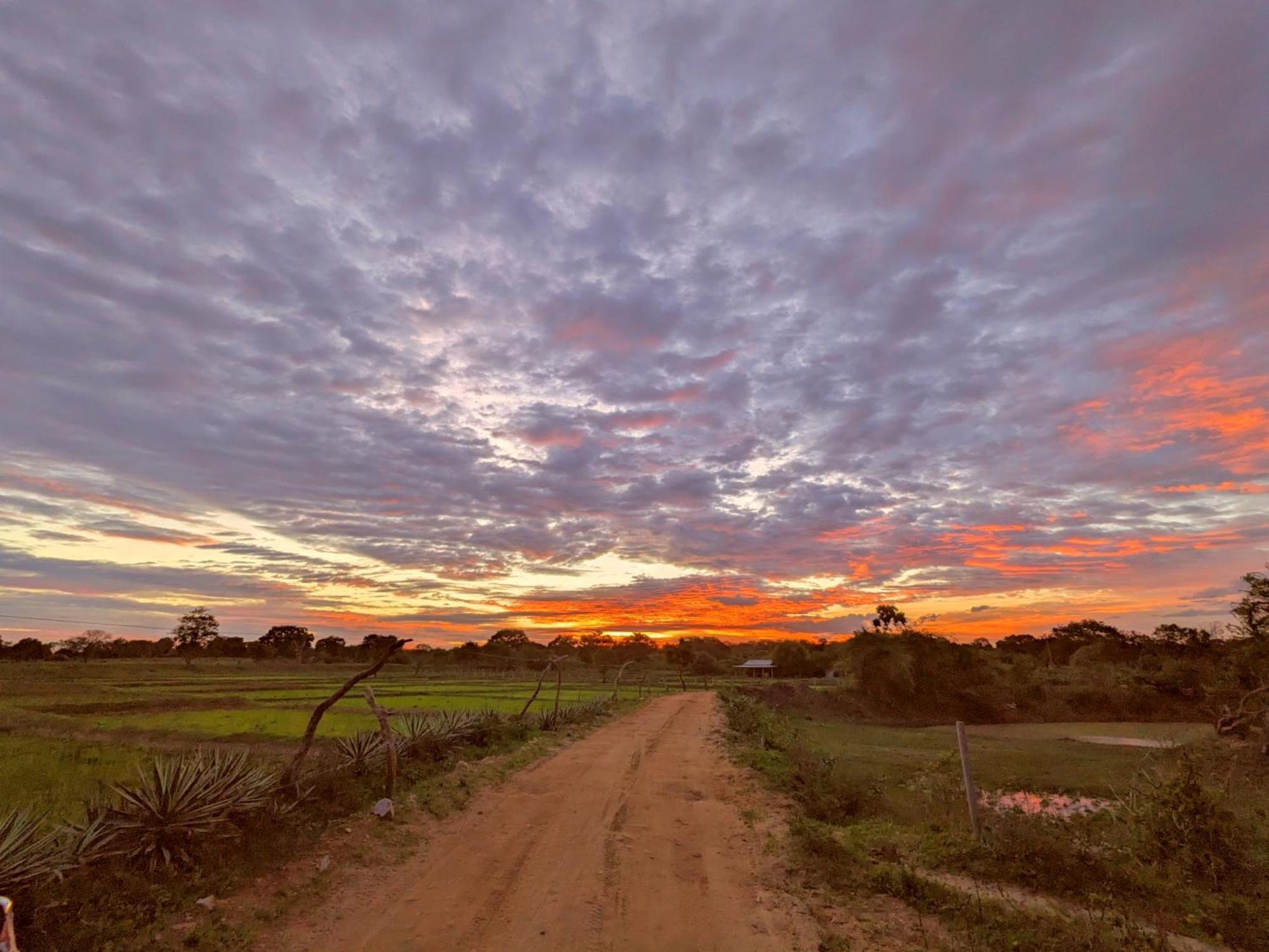 Yala Hotel Lion -Air Conditioned High Luxury Safari Camp Экстерьер фото