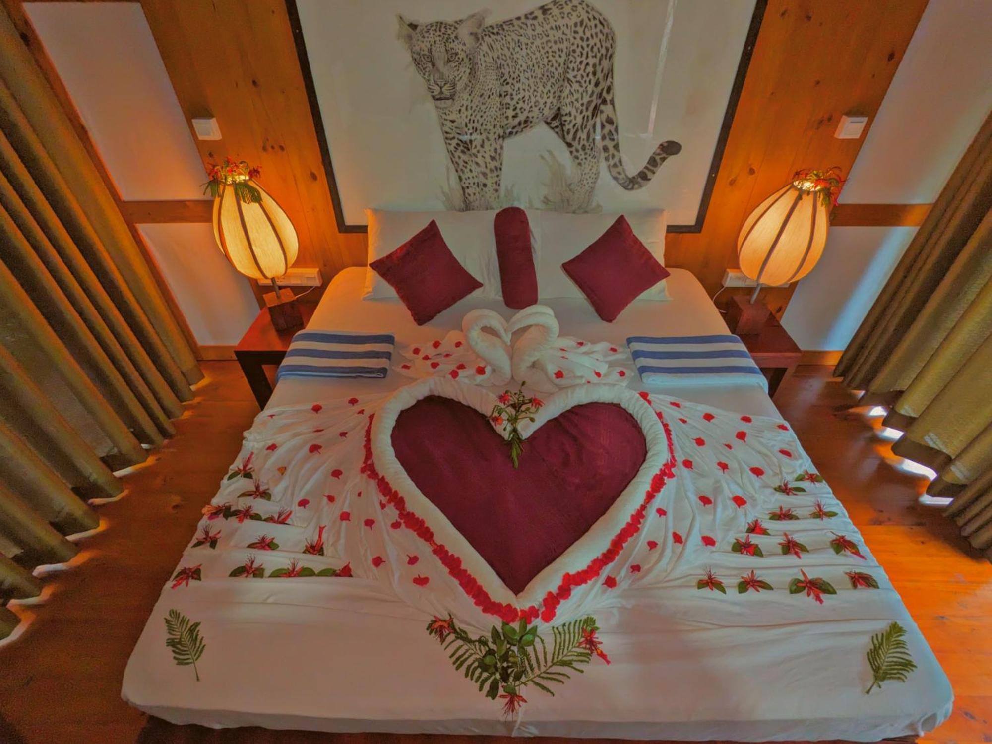 Yala Hotel Lion -Air Conditioned High Luxury Safari Camp Экстерьер фото