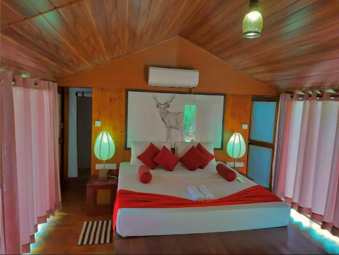 Yala Hotel Lion -Air Conditioned High Luxury Safari Camp Экстерьер фото